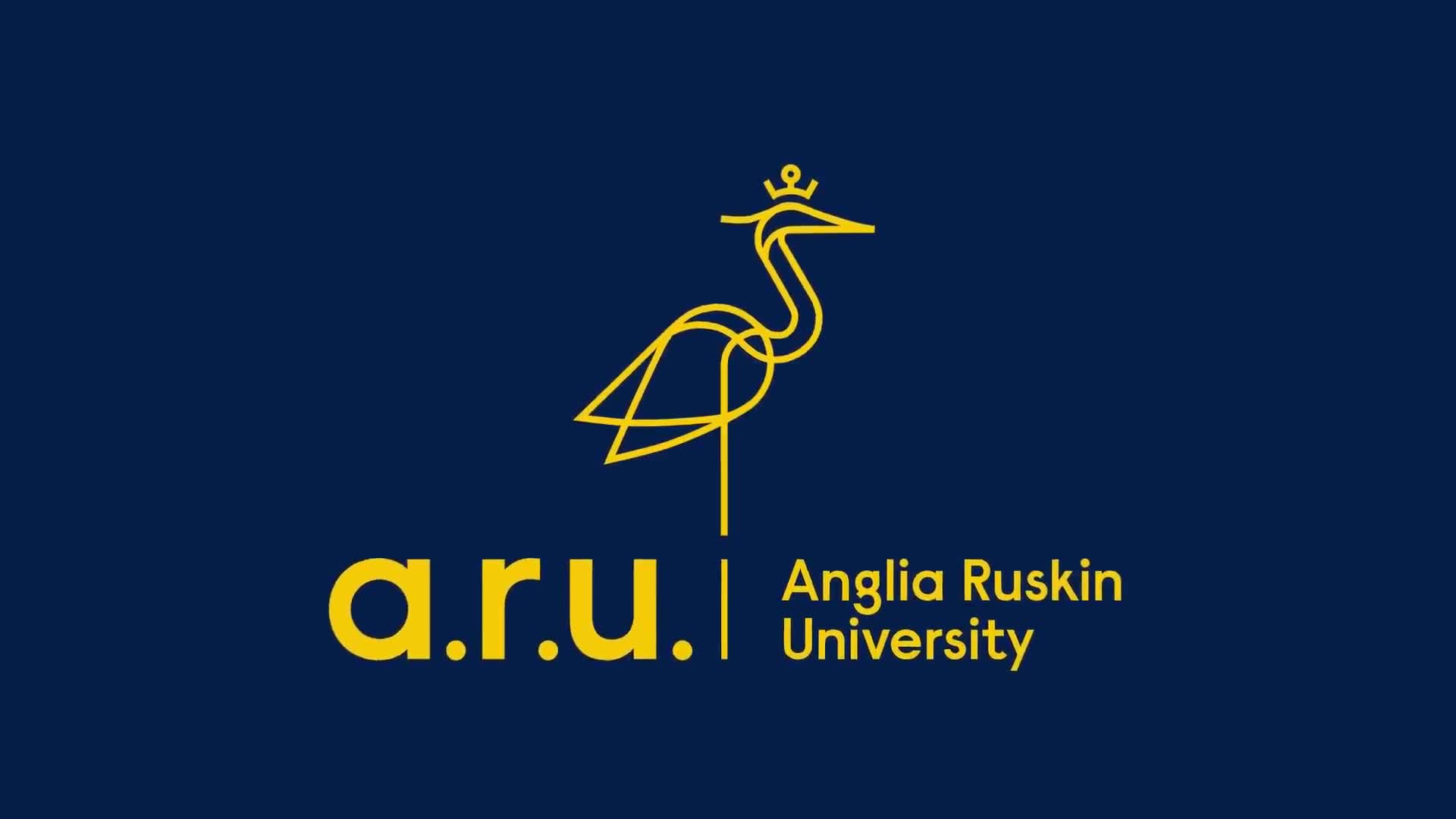 Partner University